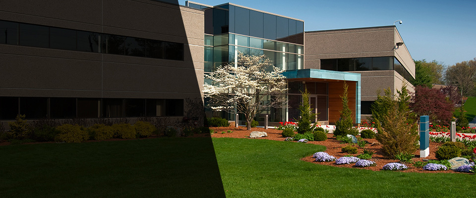 Tucumcari Landscapers