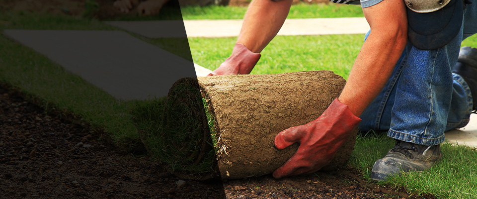 Tucumcari Landscapers